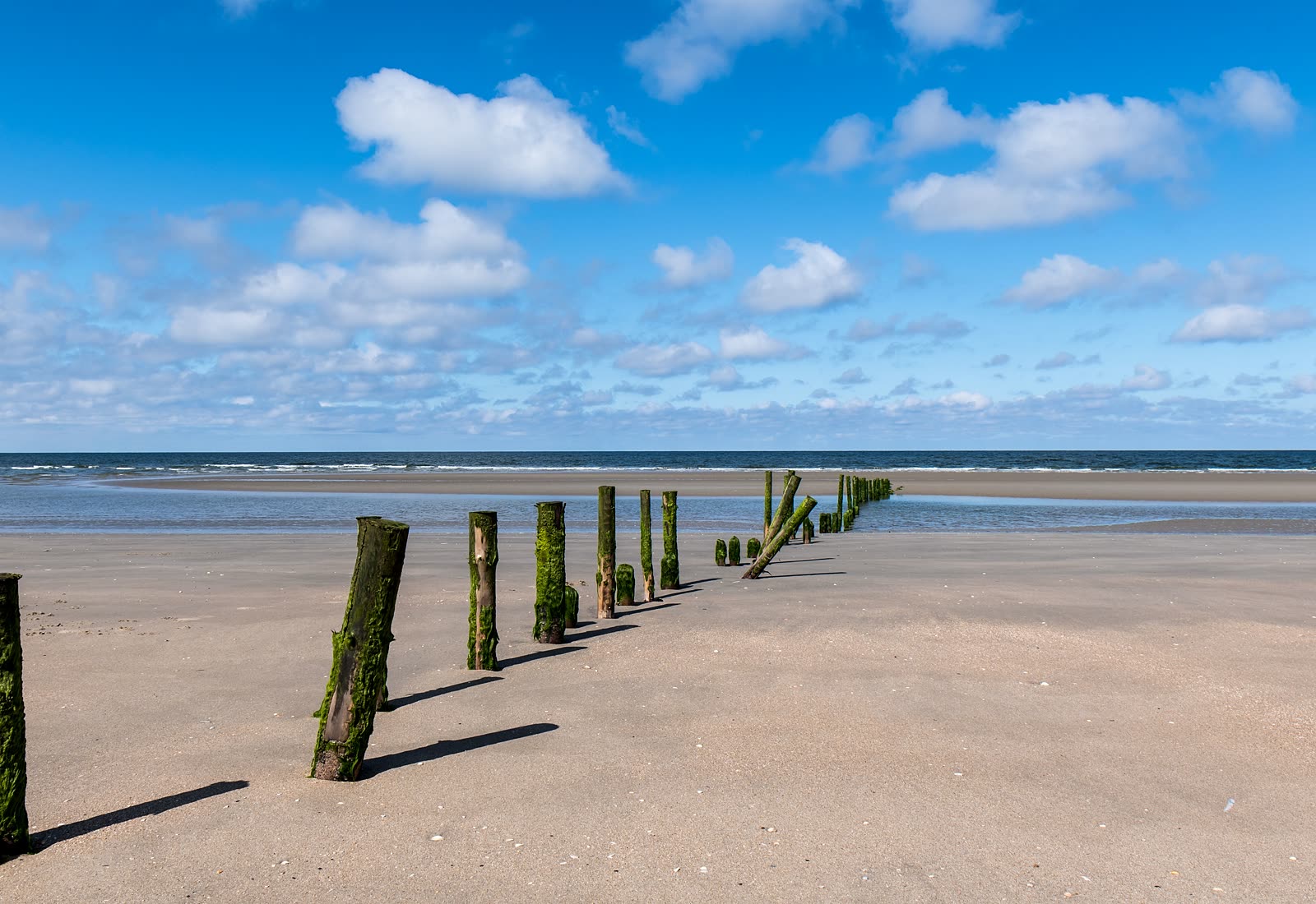 Urlaubspflege an der Nordsee: Küstenlandschaft in Ostfriesland